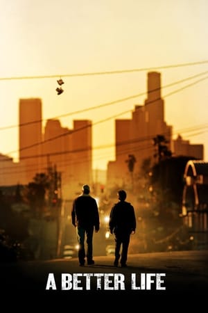 A Better Life (2011) Hindi Dual Audio [150MB]