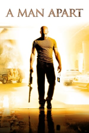 A Man Apart (2003) Hindi Dual Audio [850MB]