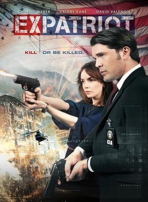 ExPatriot 2017 Hindi Dual Audio 300MB