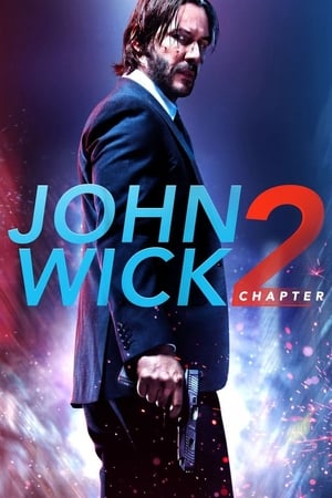 john Wick Chapter 2 (2017) Dual Audio Hindi Movie - 1.1GB
