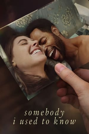 Somebody I Used to Know 2023 Hindi Dual Audio – 480p