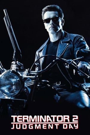 Terminator 2 (1991) Hindi Dual Audio [950MB]