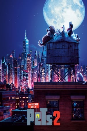 The Secret Life of Pets 2 (2019) Hindi (Original) Dual Audio [850MB]